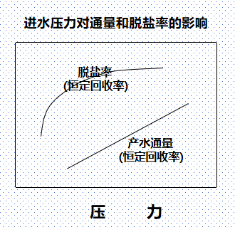 文章圖片2